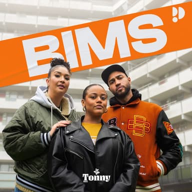 BIMS podcast cover art