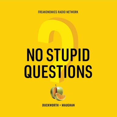 No Stupid Questions podcast cover art