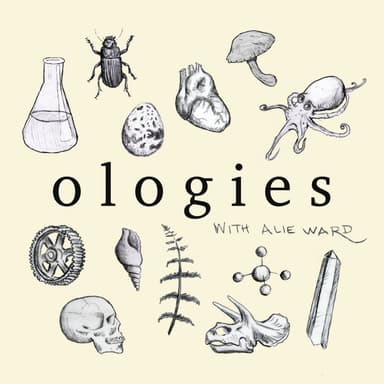 Ologies with Alie Ward podcast cover art
