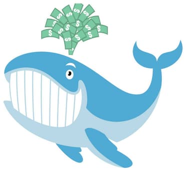 Unusual Whales podcast cover art