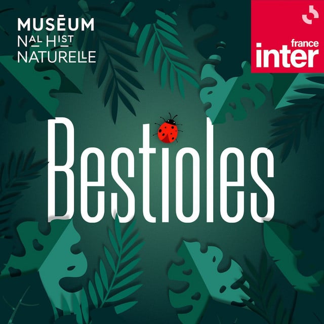 Bestioles podcast cover art