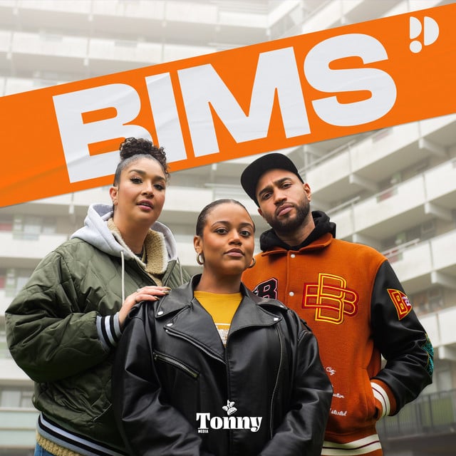 BIMS podcast cover art