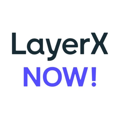 LayerX NOW! podcast cover art