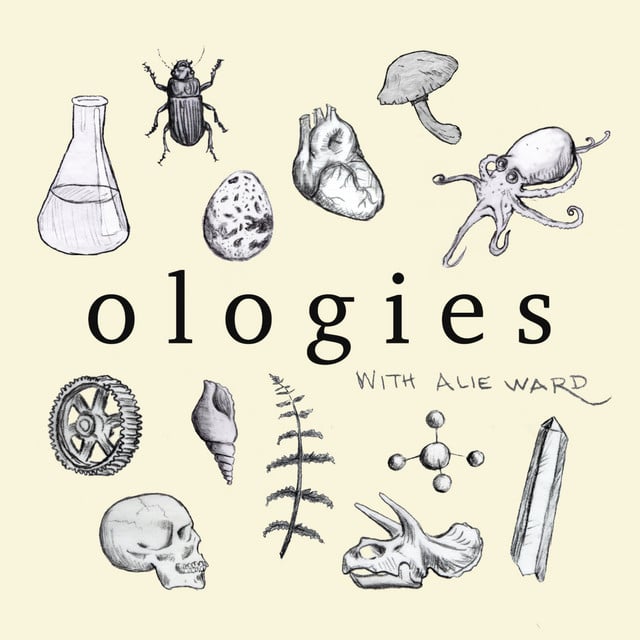 Ologies with Alie Ward podcast cover art