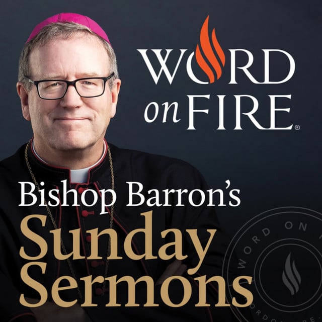 Bishop Barron’s Sunday Sermons - Catholic Preaching and Homilies podcast cover art