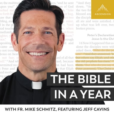 The Bible in a Year (with Fr. Mike Schmitz) podcast cover art